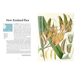 Прекрасно иллюстрированная книга более 100 ботанических произведений Plant Hunters Atlas варинант исполнения - 3 | Loft Concept в Ульяновске