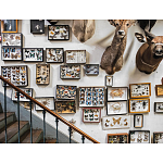 Книга Extraordinary Collections: French Interiors варинант исполнения - 11 | Loft Concept в Ульяновске