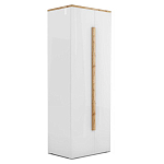 Шкаф платяной с белым глянцевым фасадом Grace of Furniture варинант исполнения - 1 | Loft Concept в Ульяновске