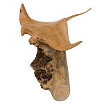 Статуэтка из дерева скат Animals of the World варинант исполнения - 2 | Loft Concept в Ульяновске