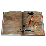 Лимитированная подарочная большая книга CARTIER Panthère варинант исполнения - 12 | Loft Concept в Ульяновске