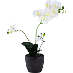 Декоративный искусственное растение Angel Orchid варинант исполнения - 1 | Loft Concept в Ульяновске