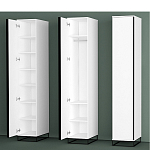 Шкаф-пенал белый с зеркальной дверцей Strict Lines варинант исполнения - 5 | Loft Concept в Ульяновске