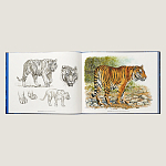 Лимитированная подарочная книга HERMES Fierce and Fragile book, English version варинант исполнения - 2 | Loft Concept в Ульяновске