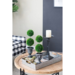 Декоративный искусственное растение Double boxwood варинант исполнения - 8 | Loft Concept в Ульяновске