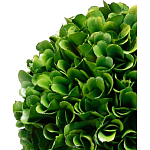 Декоративный искусственное растение Single boxwood варинант исполнения - 2 | Loft Concept в Ульяновске