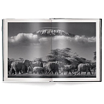 Книга Beusker. Look into my Eyes варинант исполнения - 2 | Loft Concept в Ульяновске