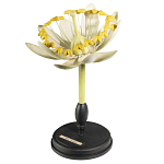 Статуэтка Tilia варинант исполнения - 3 | Loft Concept в Ульяновске