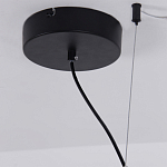 Люстра подвесная светодиодная черный металл Ring Horizontal варинант исполнения - 13 | Loft Concept в Ульяновске