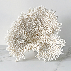 Статуэтка Table Coral