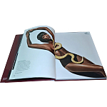 Коллекционная книга Art in Vogue варинант исполнения - 1 | Loft Concept в Ульяновске