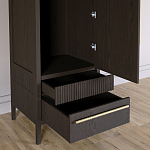 Узкий Шкаф Primo с 2 выдвижными ящиками Темный орех варинант исполнения - 5 | Loft Concept в Ульяновске