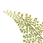 Декоративный искусственное растение Dried flower варинант исполнения - 3 | Loft Concept в Ульяновске