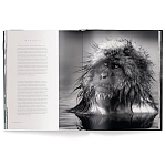 Книга Beusker. Look into my Eyes варинант исполнения - 3 | Loft Concept в Ульяновске