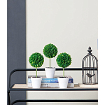 Декоративный искусственное растение Boxwood One варинант исполнения - 9 | Loft Concept в Ульяновске