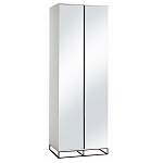 Двухдверный шкаф с зеркальными дверцами Strict Lines варинант исполнения - 5 | Loft Concept в Ульяновске