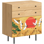 Комод с принтом на ящиках Elise Chest of Drawers варинант исполнения - 4 | Loft Concept в Ульяновске