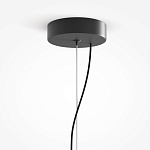 Подвесной светильник Rare grapes варинант исполнения - 4 | Loft Concept в Ульяновске