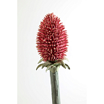 Статуэтка тропический фрукт Pandora Tropical Fruit Orange Red Round варинант исполнения - 3 | Loft Concept в Ульяновске