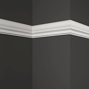 Гладкий молдинг MT-25