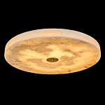 Люстра потолочная круглая минималистичная Perfection of Geometry варинант исполнения - 1 | Loft Concept в Ульяновске