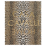 Редкое коллекционное издание Casa Cavalli Home: Celebrating the Roberto Cavalli Lifestyle Леопард варинант исполнения - 1 | Loft Concept в Ульяновске