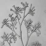 Панно Лесной цветок варинант исполнения - 4 | Loft Concept в Ульяновске