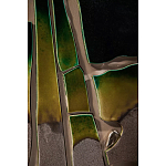 Панно «Амазония» варинант исполнения - 3 | Loft Concept в Ульяновске