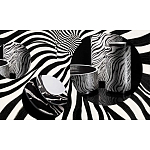 Редкое коллекционное издание Casa Cavalli Home: Celebrating the Roberto Cavalli Lifestyle Зебра варинант исполнения - 4 | Loft Concept в Ульяновске