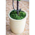 Декоративный искусственное растение Single boxwood варинант исполнения - 6 | Loft Concept в Ульяновске