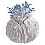 Статуэтка тропический фрукт Tropical Fruit White Blue варинант исполнения - 2 | Loft Concept в Ульяновске