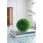 Декоративный искусственное растение Round boxwood варинант исполнения - 6 | Loft Concept в Ульяновске