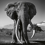 Книга Beusker. Look into my Eyes варинант исполнения - 5 | Loft Concept в Ульяновске