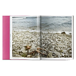 Книга Gisele Bundchen варинант исполнения - 9 | Loft Concept в Ульяновске