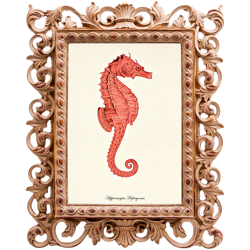 Постер Red Seahorse Poster Бежевый Красный в Ульяновске | Loft Concept 