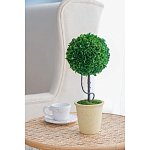 Декоративный искусственное растение Single boxwood варинант исполнения - 5 | Loft Concept в Ульяновске