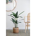 Декоративный искусственное растение Decor Stile  варинант исполнения - 5 | Loft Concept в Ульяновске